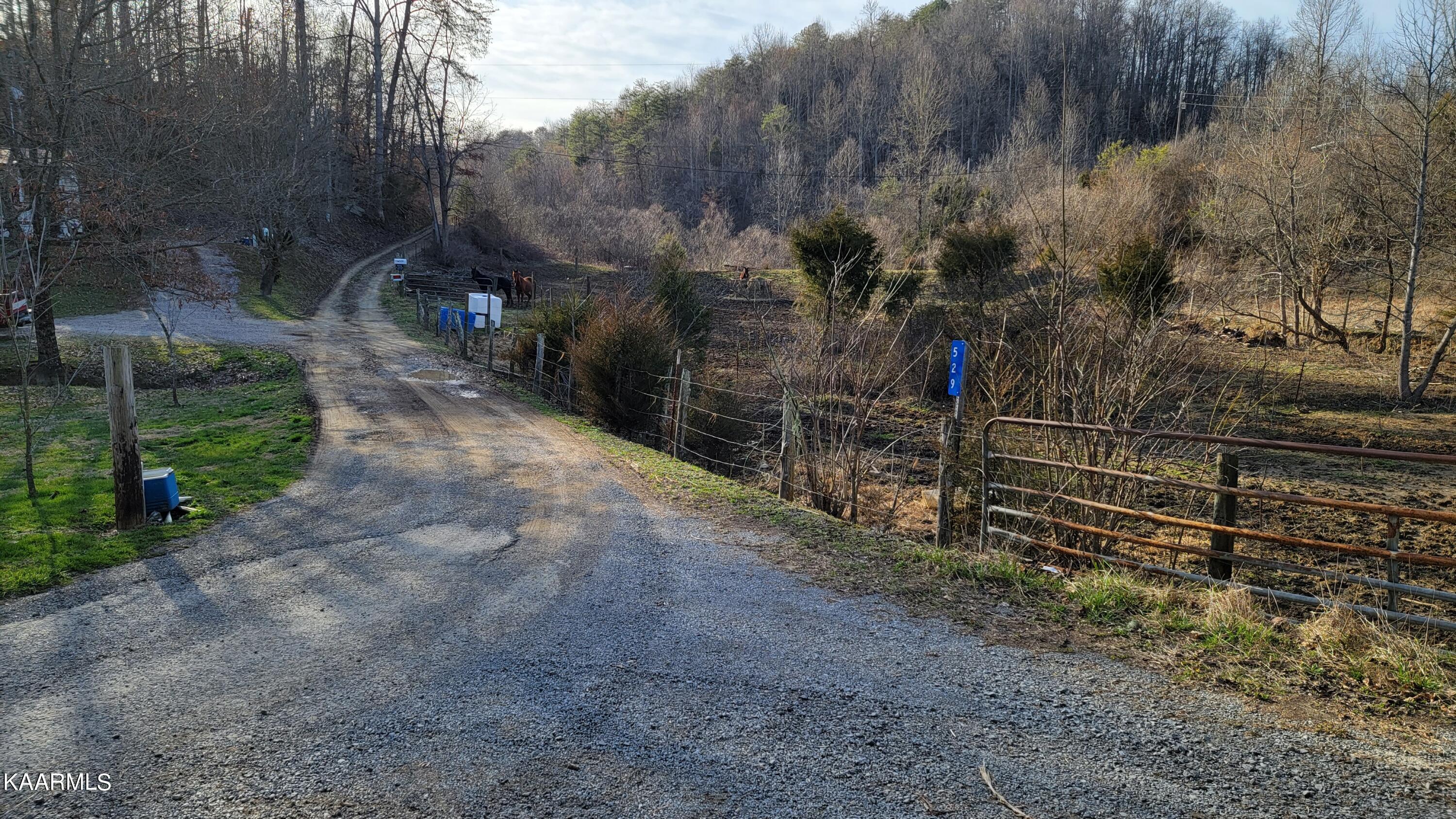 521 Lamb Road Sneedville, TN 37869 - Photo 4 of 33 Entrance 2