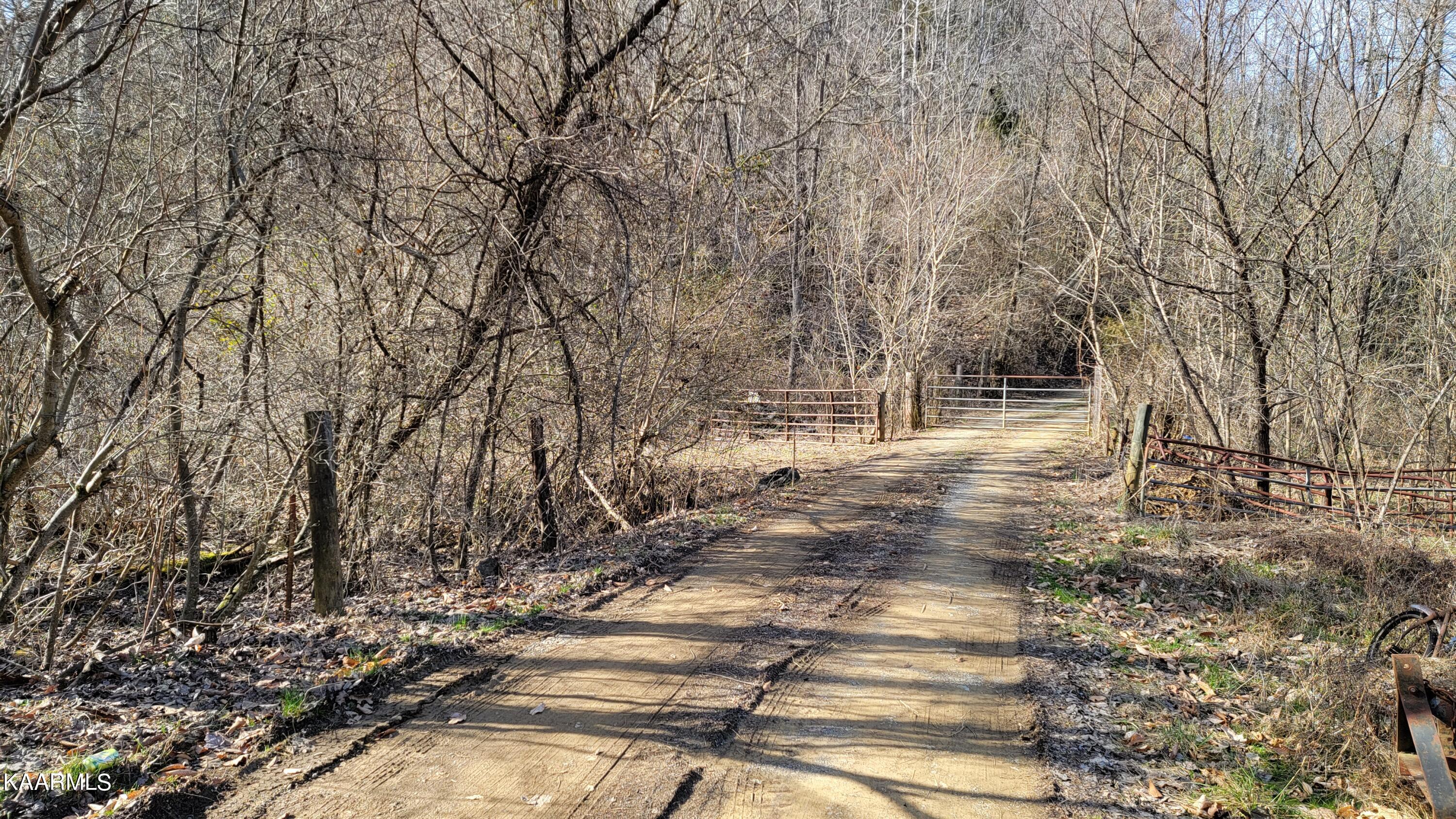 521 Lamb Road Sneedville, TN 37869 - Photo 6 of 33 Left 100 ft.