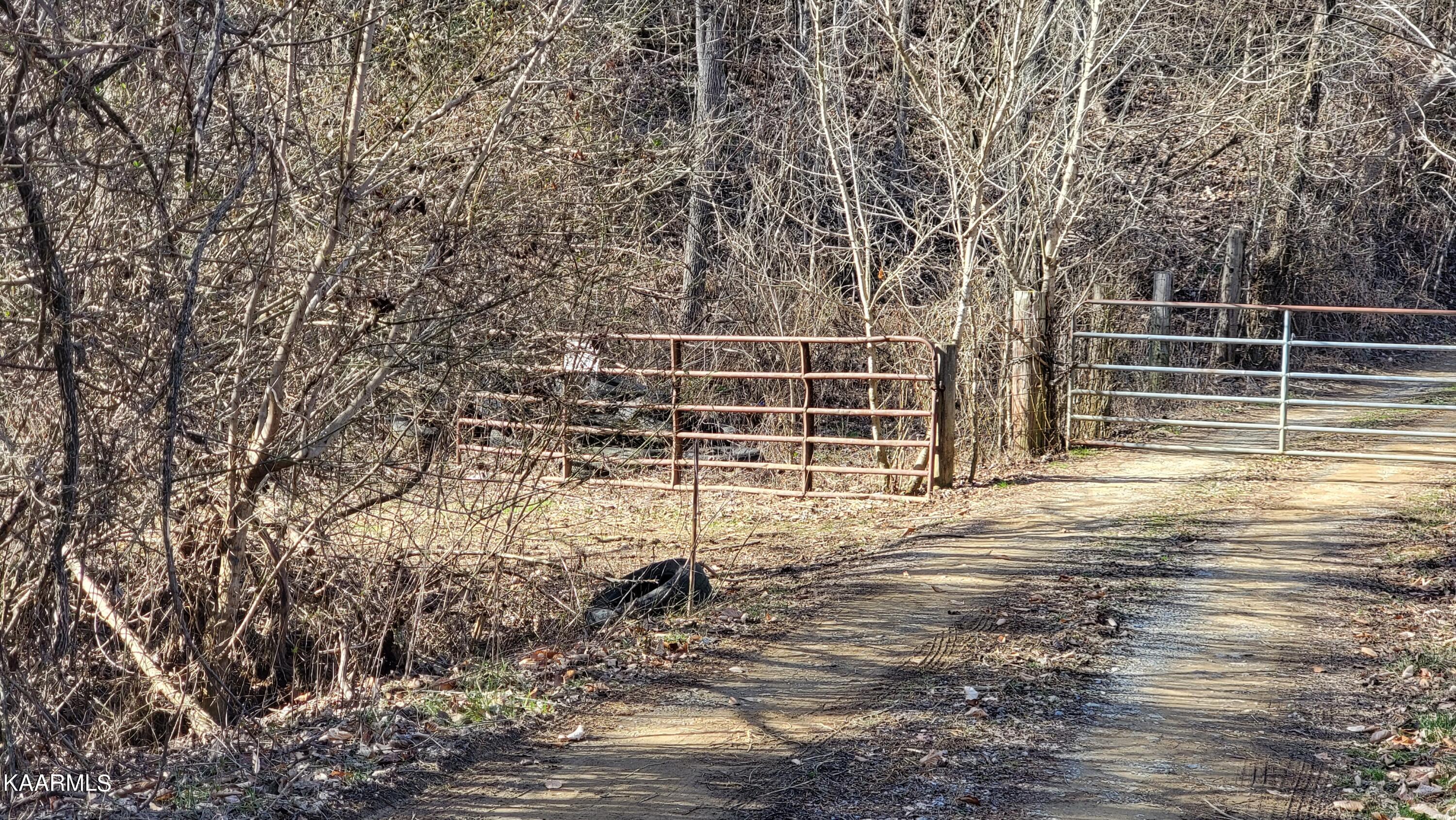 521 Lamb Road Sneedville, TN 37869 - Photo 7 of 33 Entrance