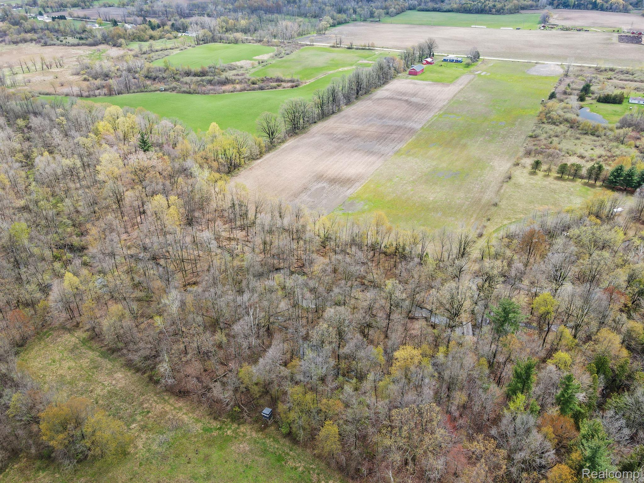 242 West Barnes Road Fostoria, MI 48435 - Photo 5 of 37 20 % Wooded