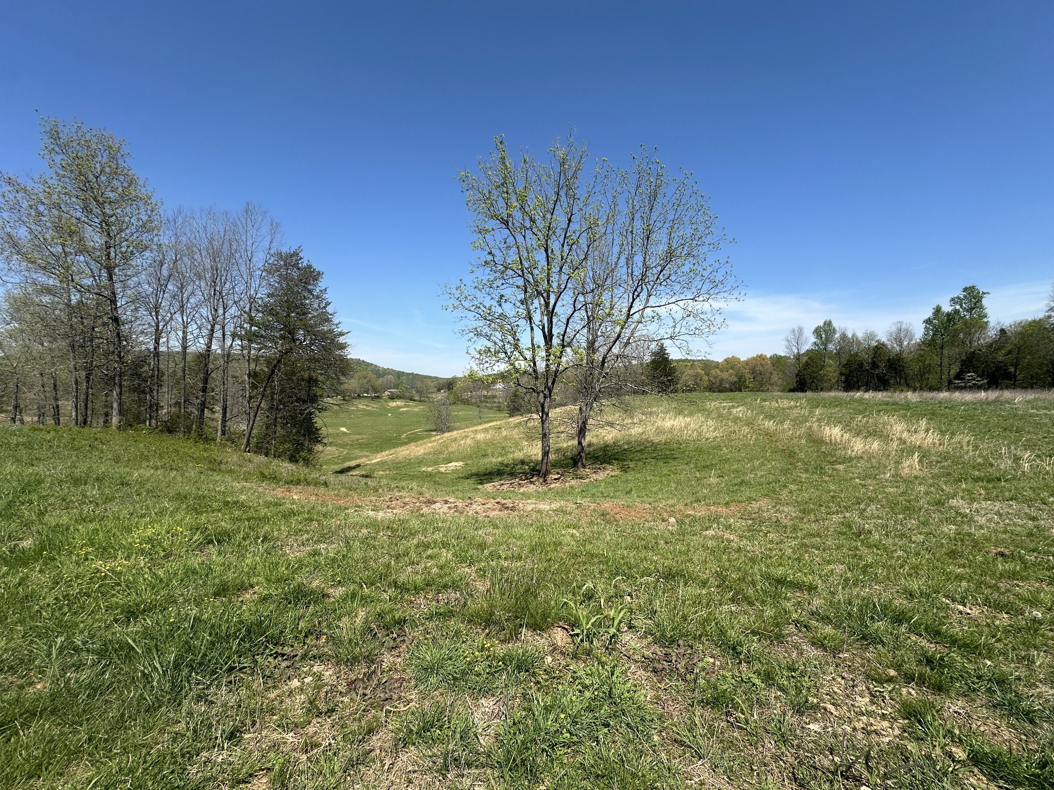 515 Jericho Road Quebeck, TN 38579 - Photo 25 of 54 Gallery Image 25