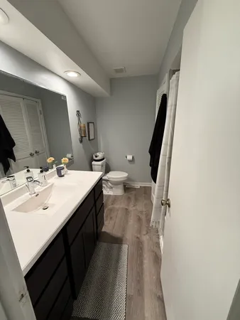 a bathroom with a sink a toilet and a mirror