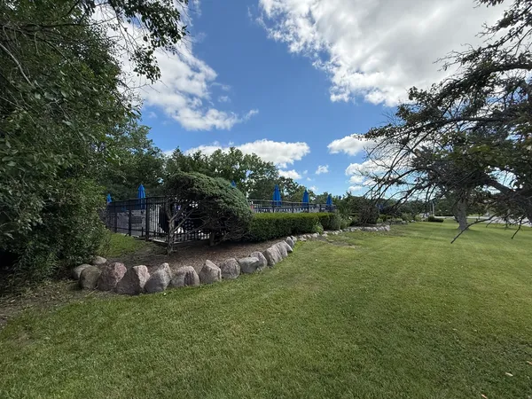 a view of a backyard