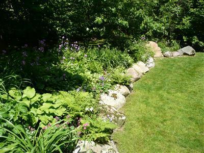 5713 Saggio Road Hastings, MI 49058 - Photo 3 of 19 Additional Photo