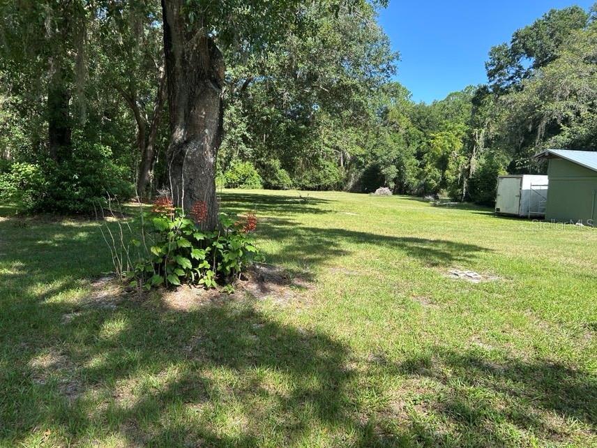 40841 Louise Road Umatilla, FL 32784 - Photo 8 of 10 Gallery Image 8