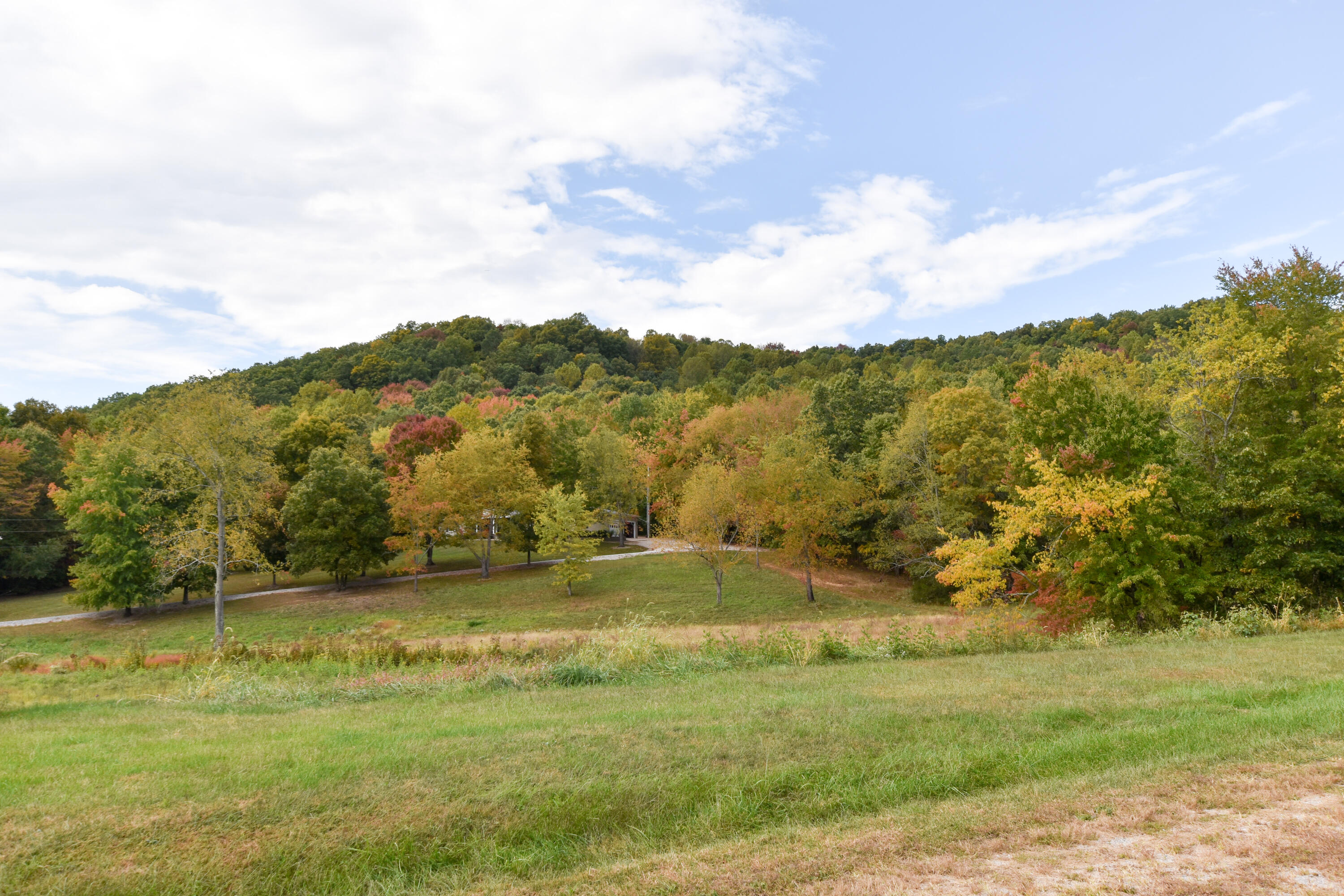 2390 Beechy Creek Road Wallingford, KY 41093 - Photo 84 of 89 DSC_0146