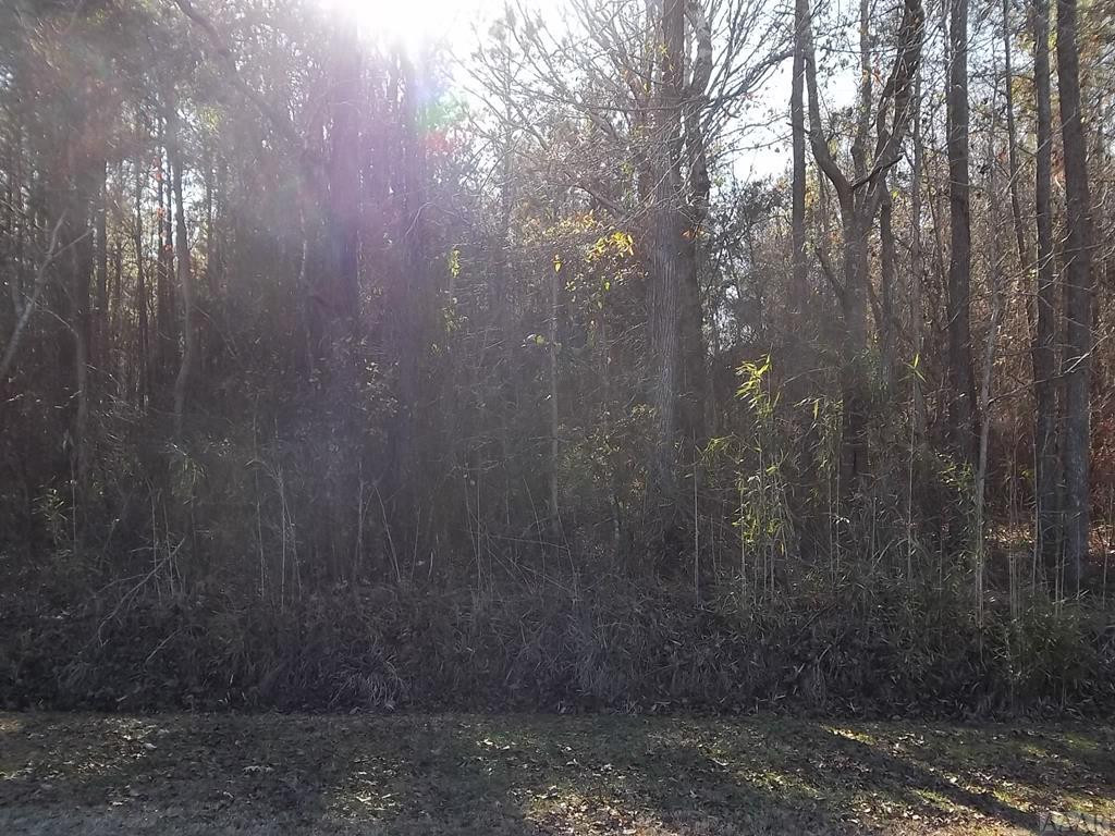 Tbd Lynch's Corner Road Elizabeth City, NC 27909 - Photo 1 of 1 Main View