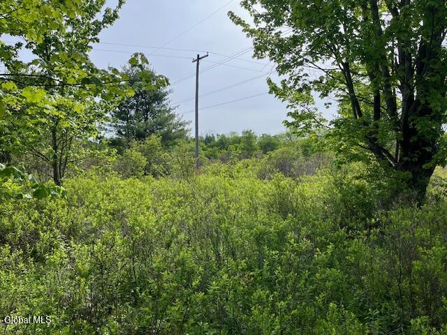 L9 Harrington Road Gilboa, NY 12076 - Photo 23 of 27 IMG_5383