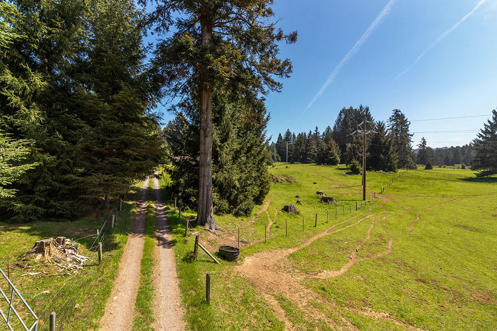 1255 Alder Grove Road Arcata, CA 95521 - Photo 19 of 72
