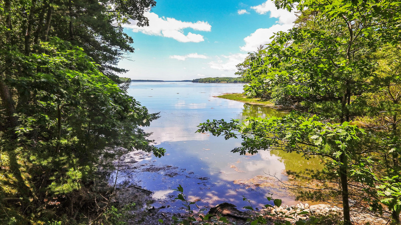 0 Ferry Road Westport Island, ME 04578 - Photo 6 of 26 05_DJI_0115_copy_DxO_mls