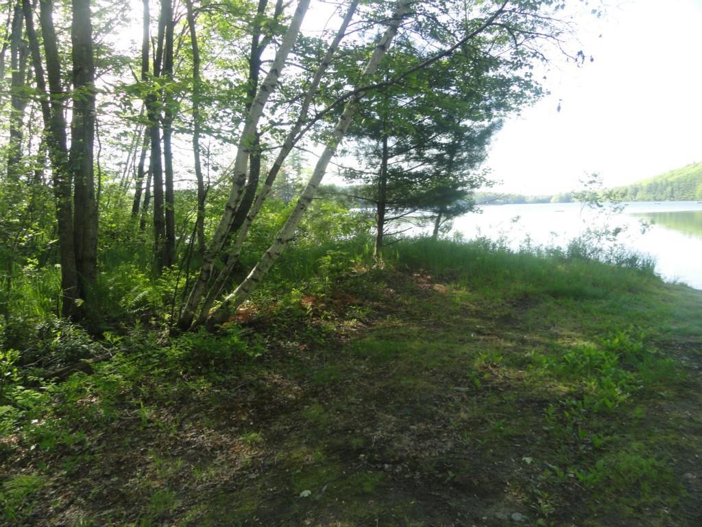 38 Wint Road Harrison, ME 04040 - Photo 27 of 34 Corner of the property is shown here...