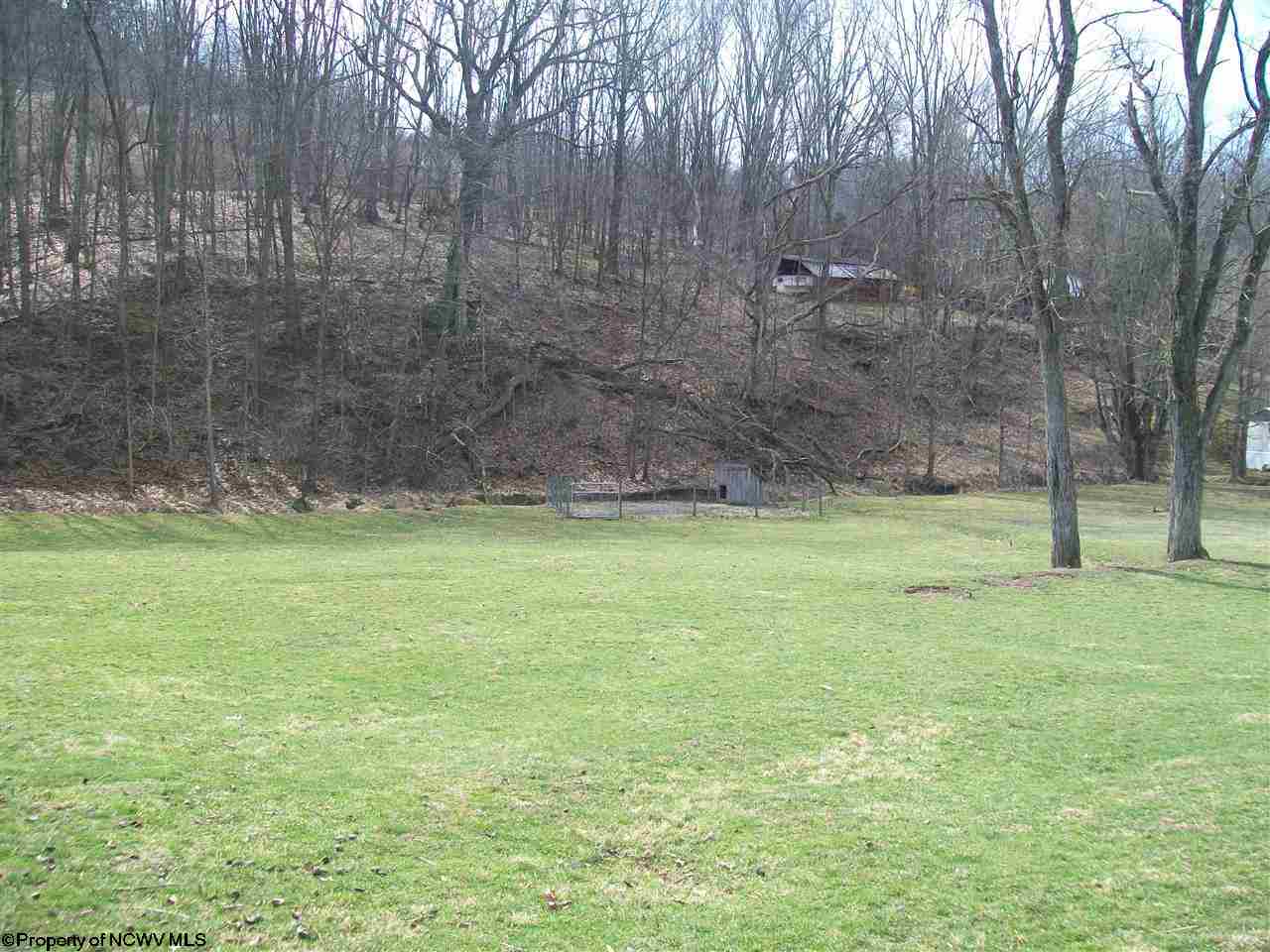 Gallery Image 7