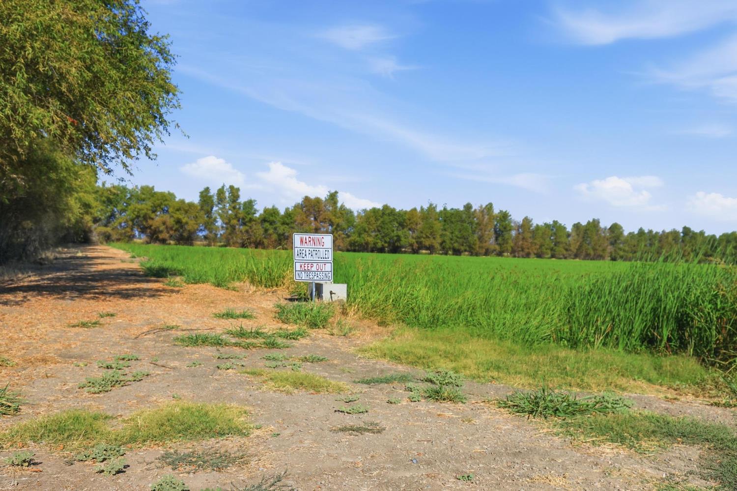 0 Jameson Road Colusa, CA 95932 - Photo 3 of 13 Gallery Image 3