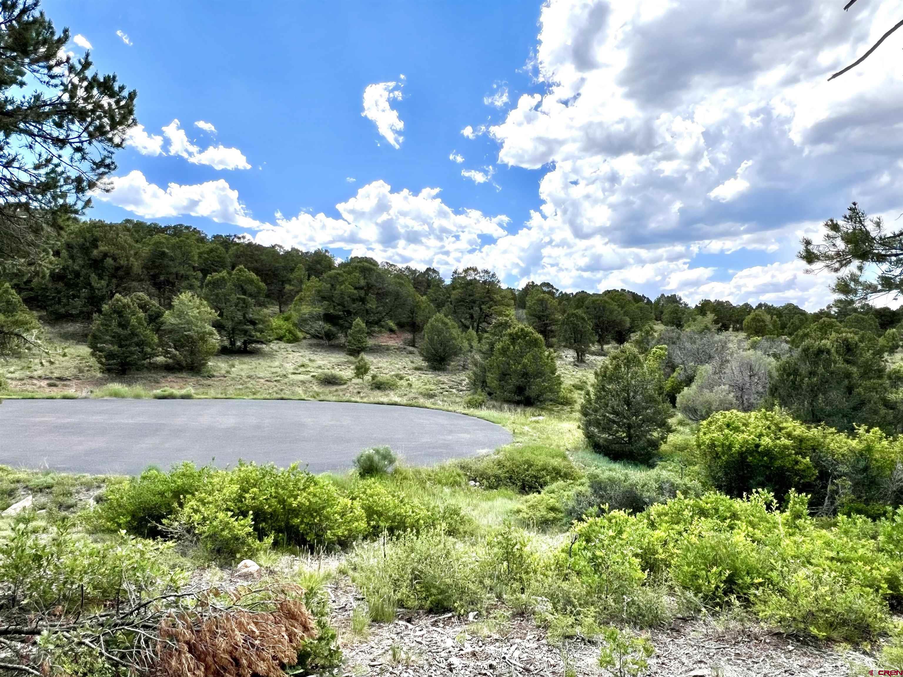 Lot 9 Pointe Escape Drive Ridgway, CO 81432 - Photo 7 of 33