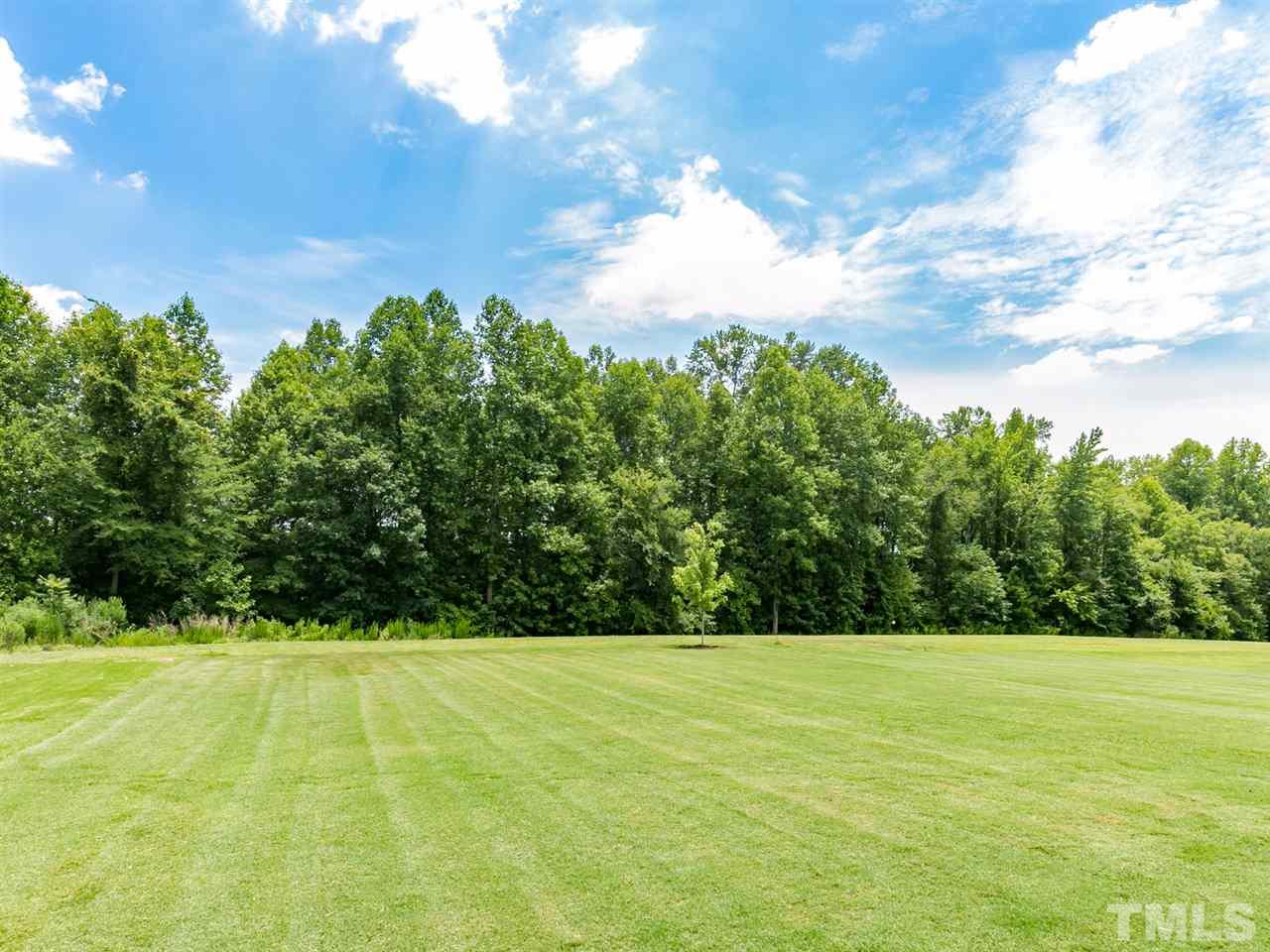 337 Liberty Star Road Wendell, NC 27591 - Photo 4 of 27 Gallery Image 4