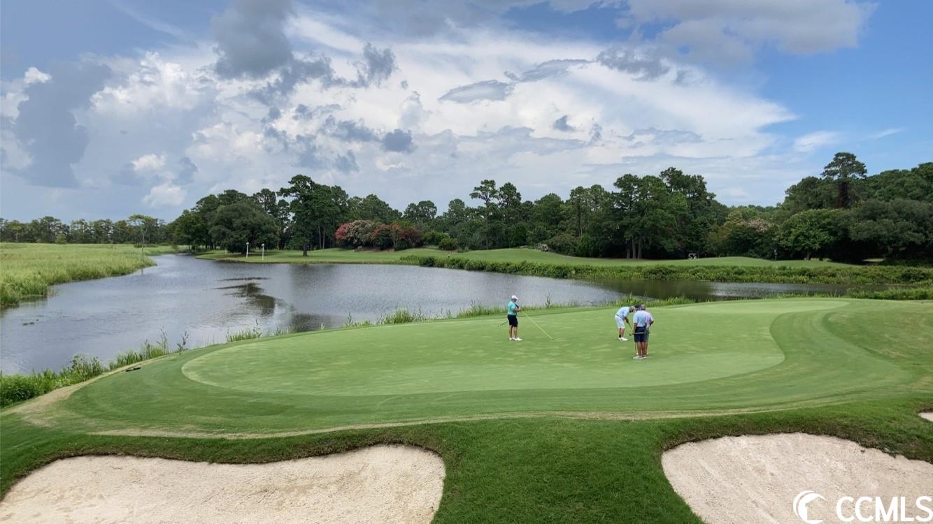 32 Willow Bend Drive Murrells Inlet, SC 29576 - Photo 35 of 40