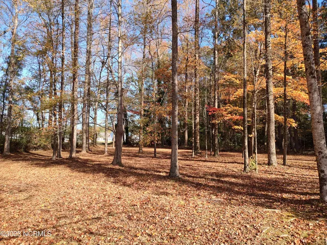 $45,000 | 130 Gambit Court, Washington, NC 27889