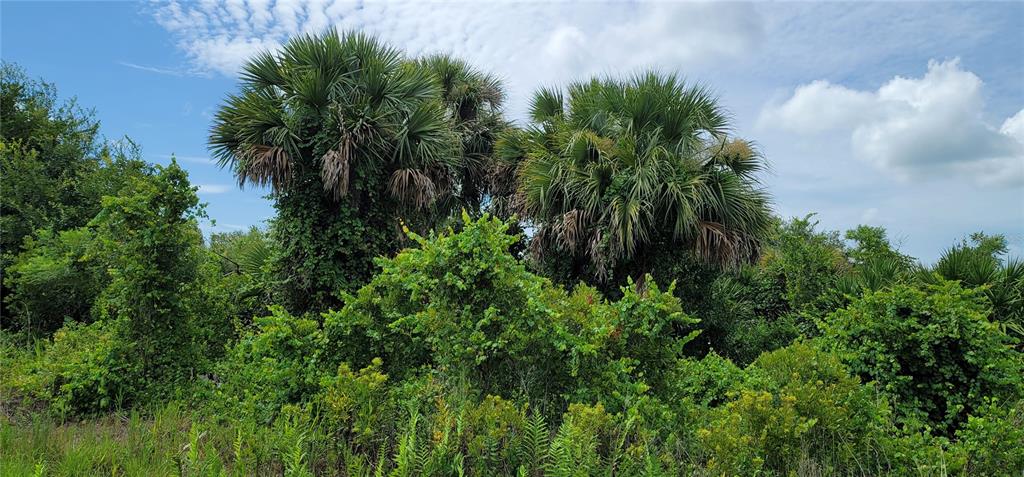 Northwest 268th Street Okeechobee, FL 34972 - Photo 12 of 32