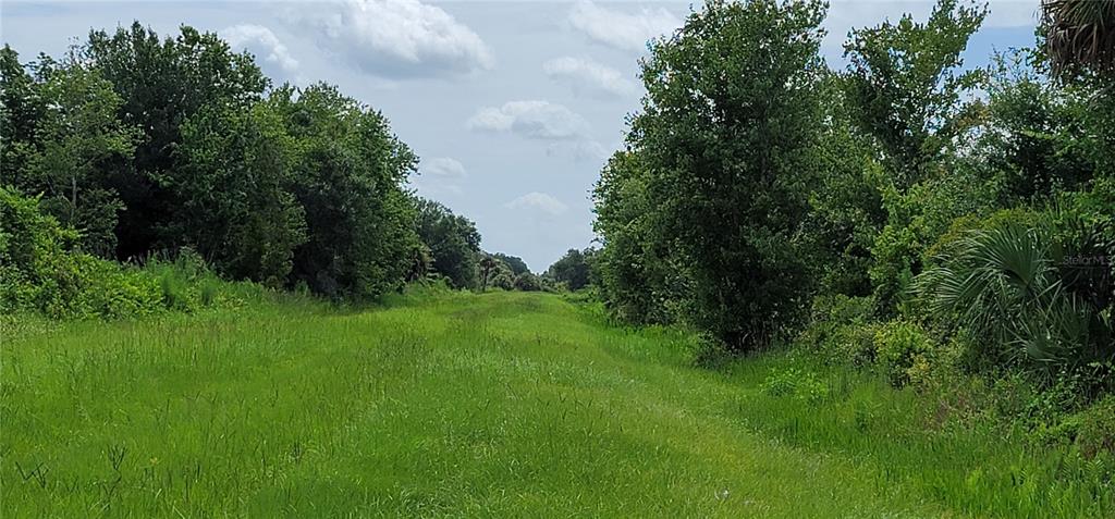 Northwest 268th Street Okeechobee, FL 34972 - Photo 13 of 32
