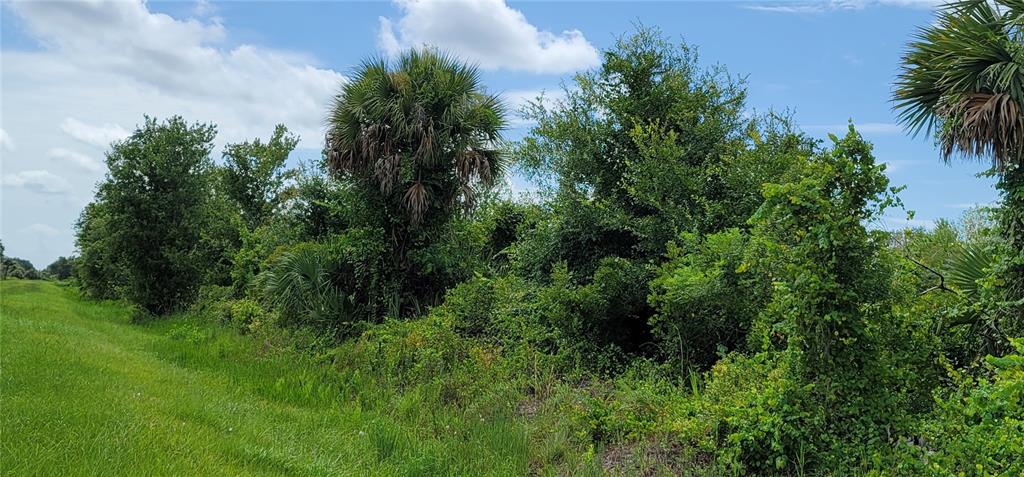 Northwest 268th Street Okeechobee, FL 34972 - Photo 15 of 32