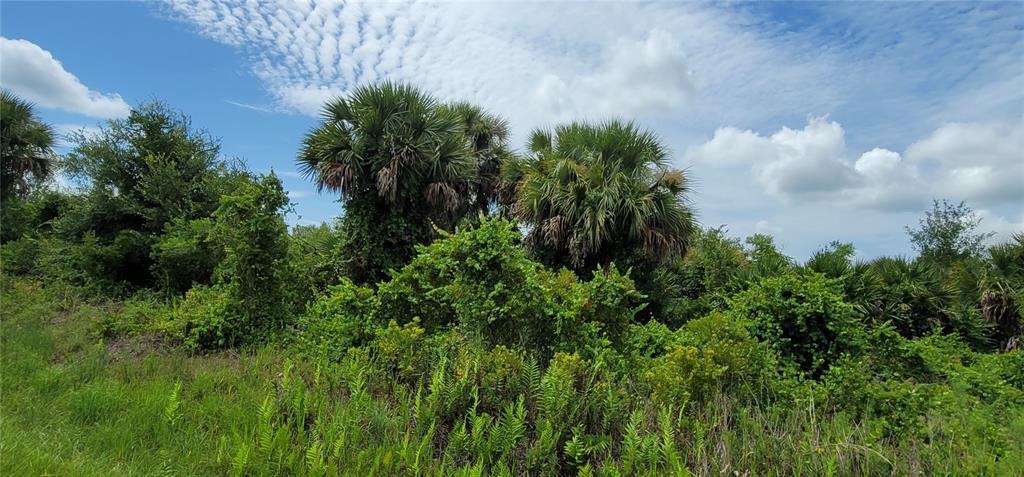 Northwest 268th Street Okeechobee, FL 34972 - Photo 16 of 32