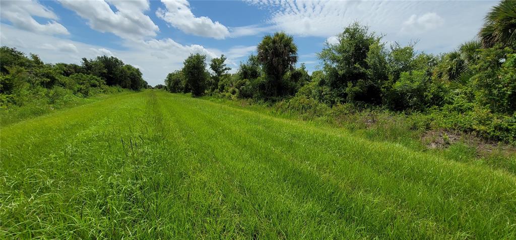 Northwest 268th Street Okeechobee, FL 34972 - Photo 19 of 32