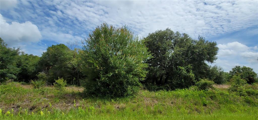 Northwest 268th Street Okeechobee, FL 34972 - Photo 20 of 32