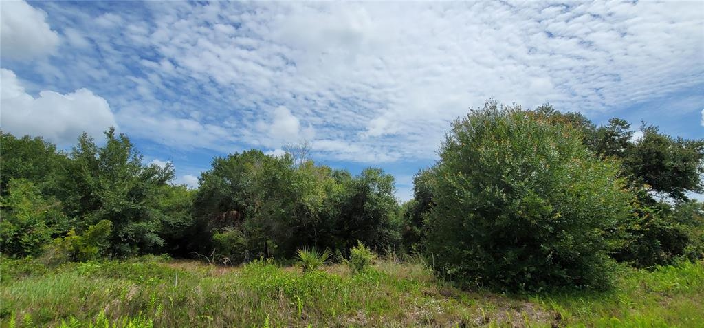 Northwest 268th Street Okeechobee, FL 34972 - Photo 21 of 32