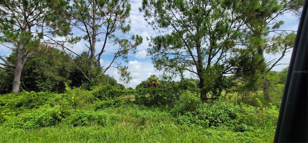 Northwest 268th Street Okeechobee, FL 34972 - Photo 25 of 32