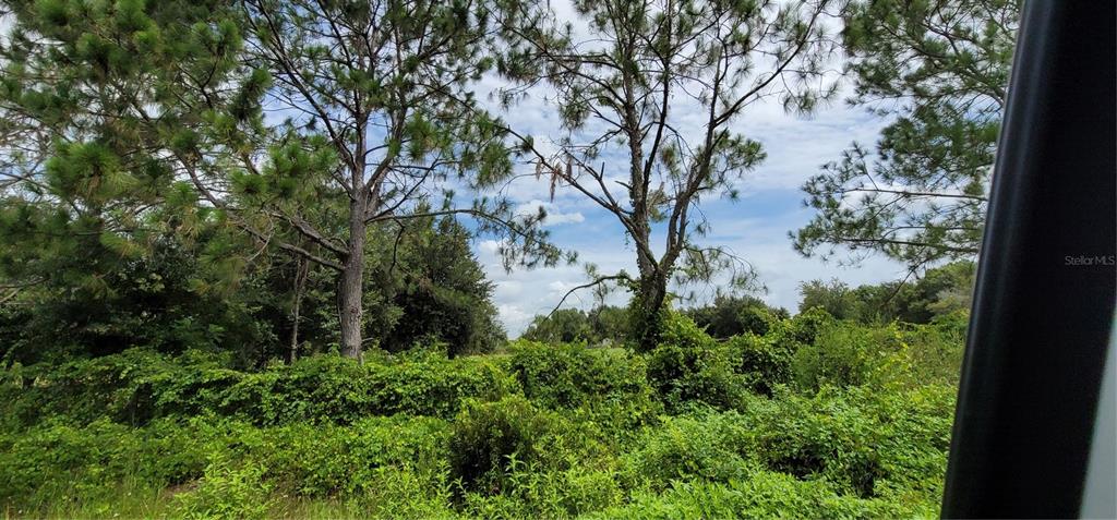 Northwest 268th Street Okeechobee, FL 34972 - Photo 26 of 32