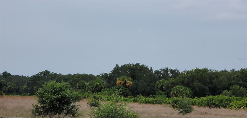 Northwest 268th Street Okeechobee, FL 34972 - Photo 31 of 32