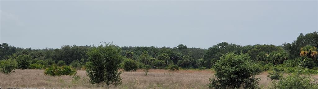Northwest 268th Street Okeechobee, FL 34972 - Photo 32 of 32