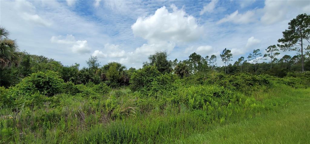 Northwest 268th Street Okeechobee, FL 34972 - Photo 4 of 32