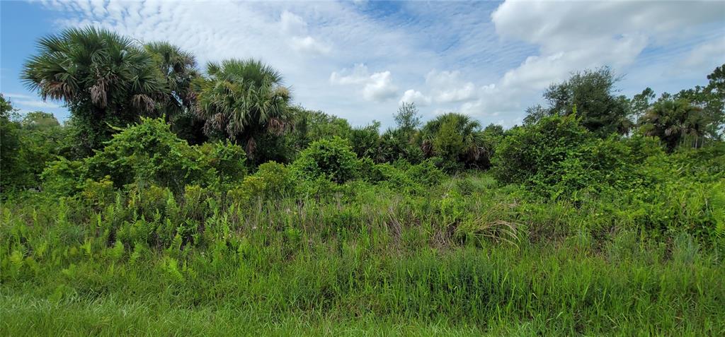 Northwest 268th Street Okeechobee, FL 34972 - Photo 5 of 32