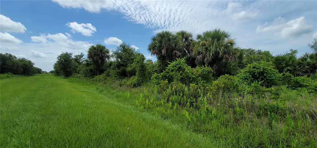 Northwest 268th Street Okeechobee, FL 34972 - Photo 6 of 32