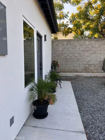 a potted plant sitting in front of a house