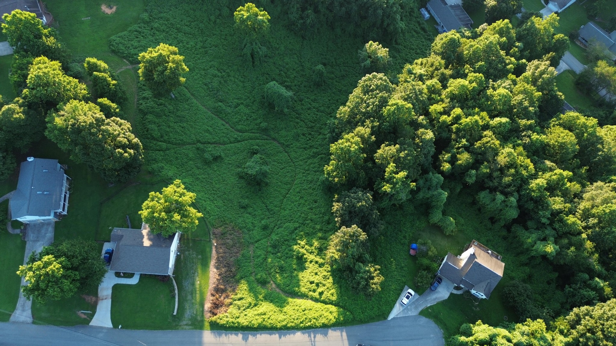 57 Matthew Lane Dayton, TN 37321 - Photo 2 of 5 a picture of street view