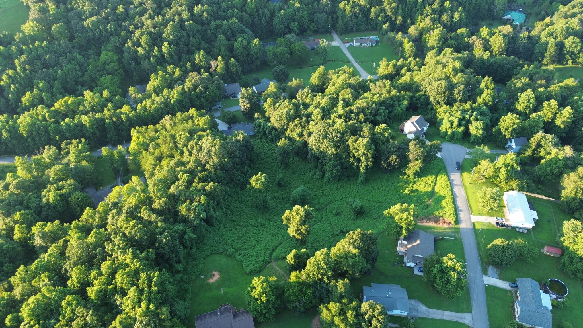 57 Matthew Lane Dayton, TN 37321 - Photo 3 of 5 a view of a garden with a lake