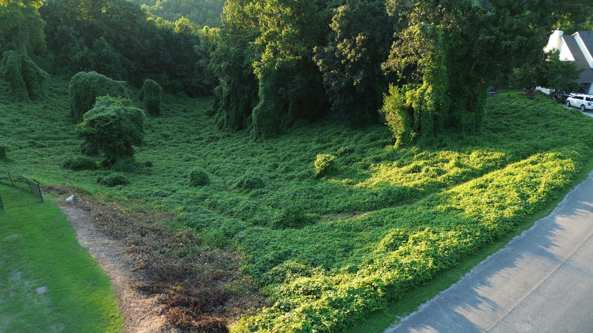 57 Matthew Lane Dayton, TN 37321 - Photo 4 of 5 a view of a garden with a house