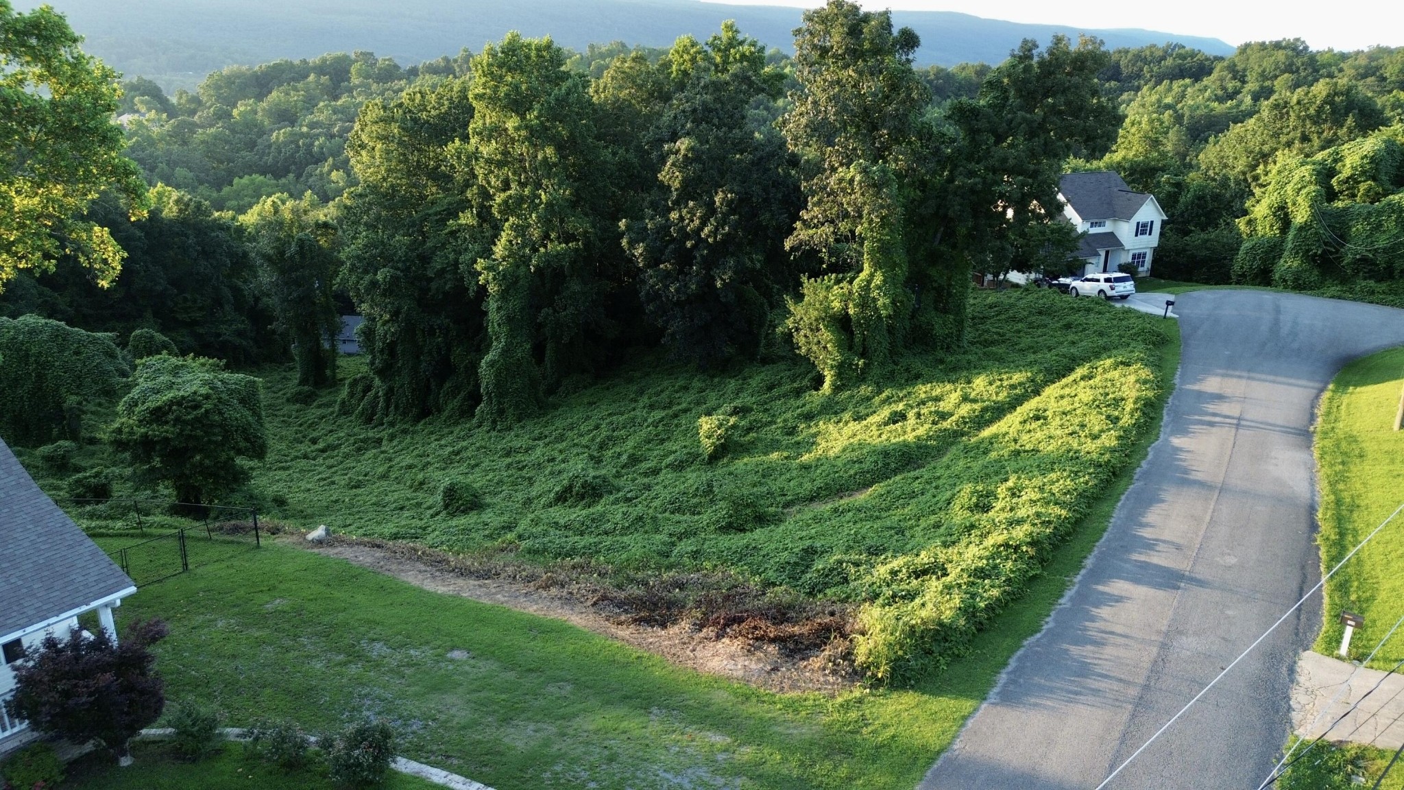 57 Matthew Lane Dayton, TN 37321 - Photo 5 of 5 a view of a garden