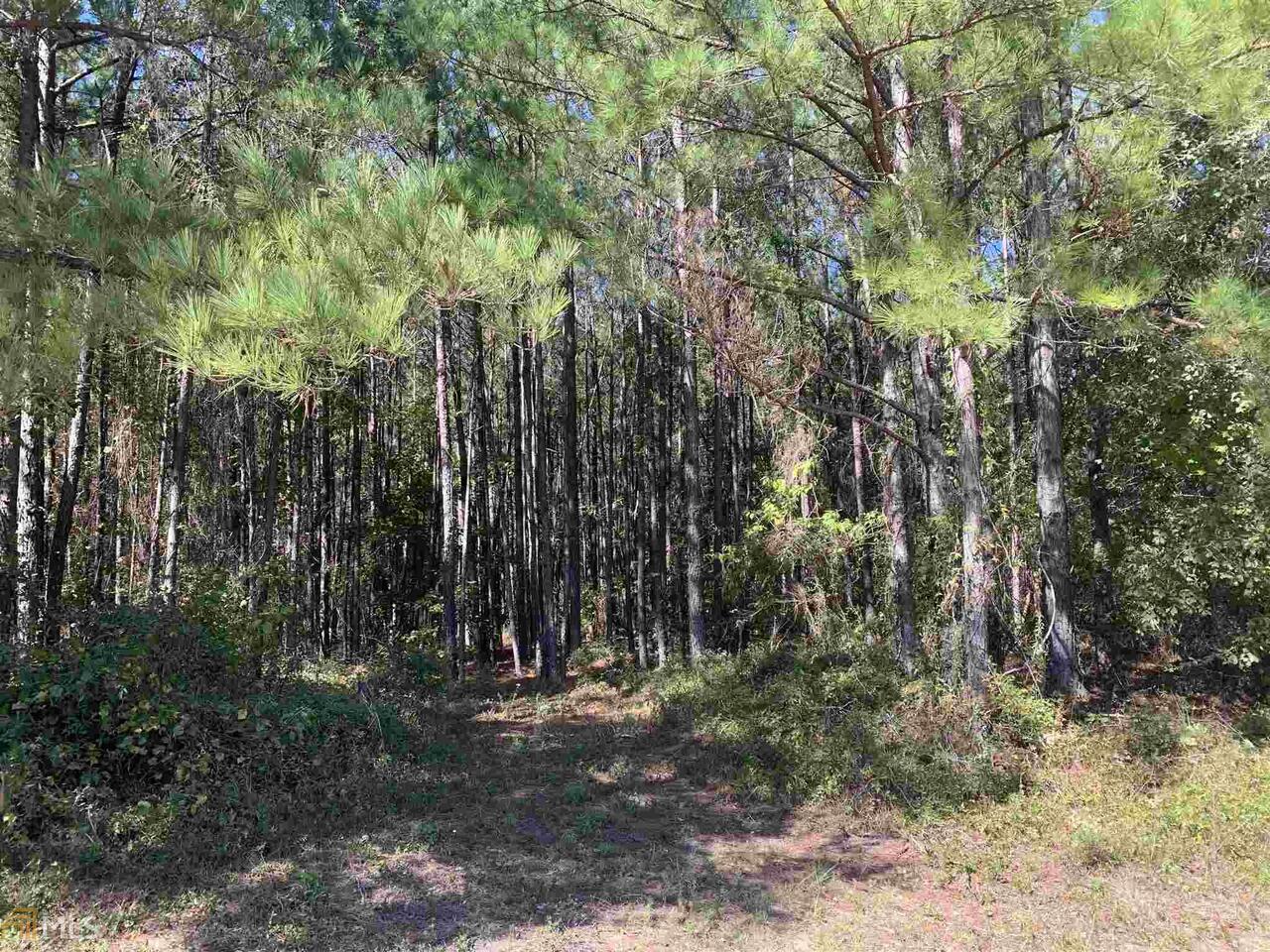 0 Branch Road Dudley, GA 31022 - Photo 1 of 1 Gallery Image 1