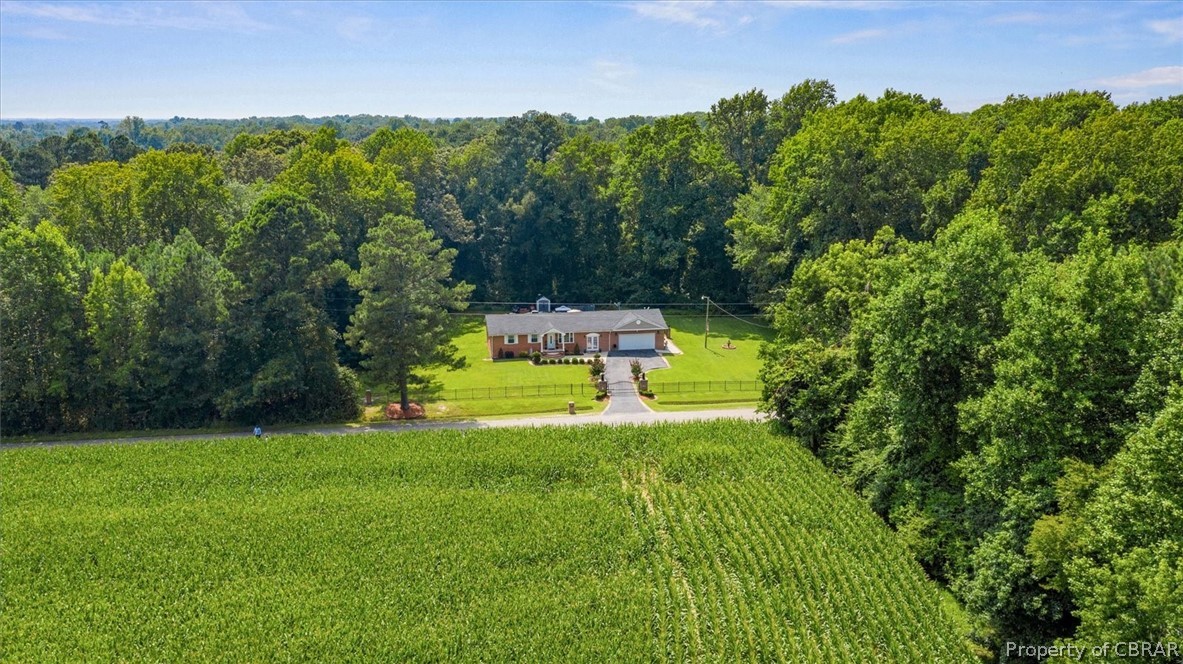 259 Clubhouse Road Dendron, VA 23839 - Photo 42 of 50 Gallery Image 42