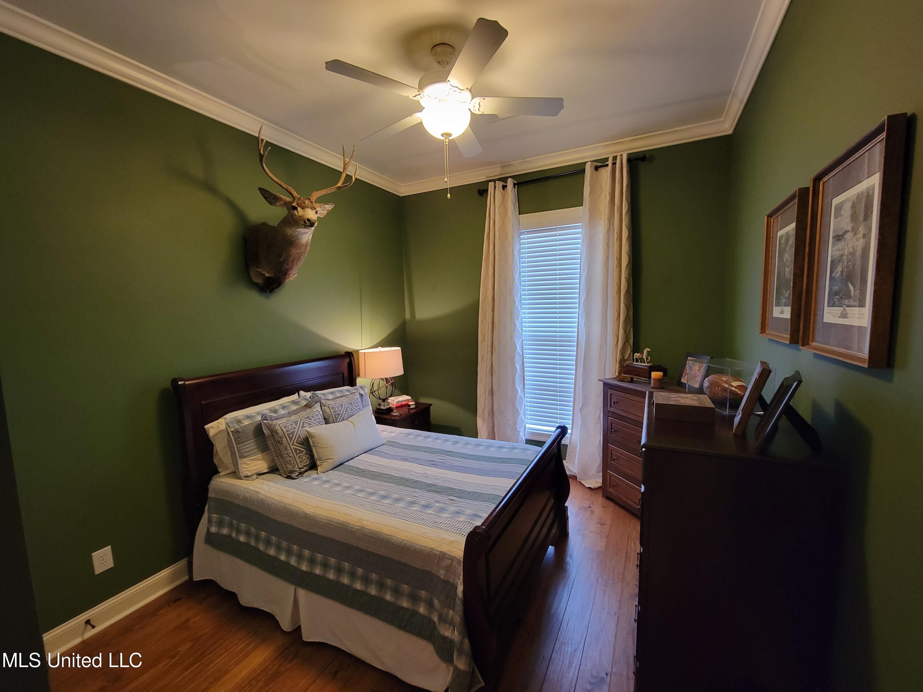 165 Westerly Place Madison, MS 39110 - Photo 23 of 30 20231113_085310