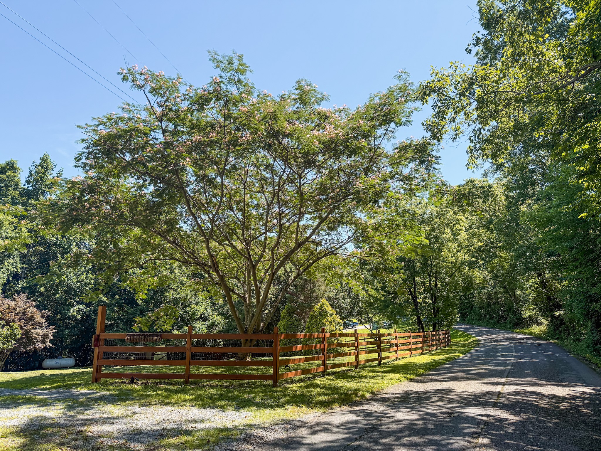1660 Leatherwood Road White Bluff, TN 37187 - Photo 2 of 41