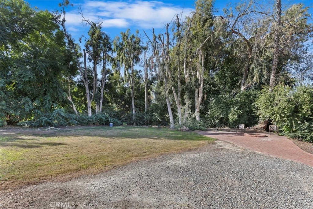 2154 Gainsborough Drive Riverside, CA 92506 - Photo 6 of 43 a view of a yard with a trees