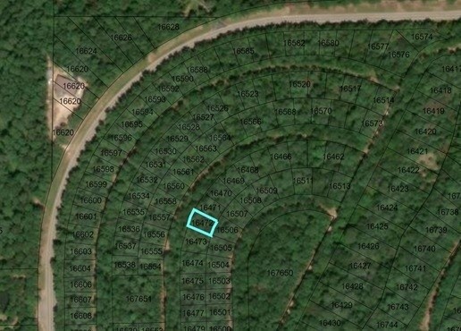 a view of a lush green forest