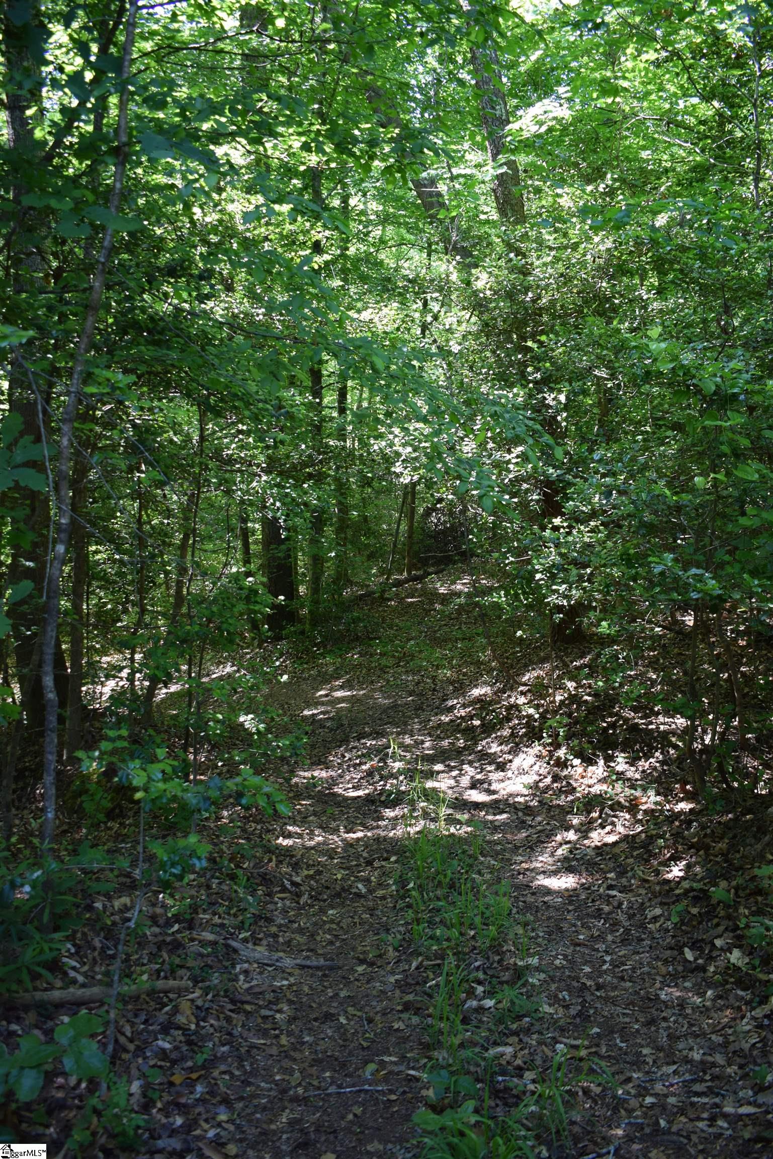 Floyd Blackwell Road Tryon, NC 28782 - Photo 3 of 27
