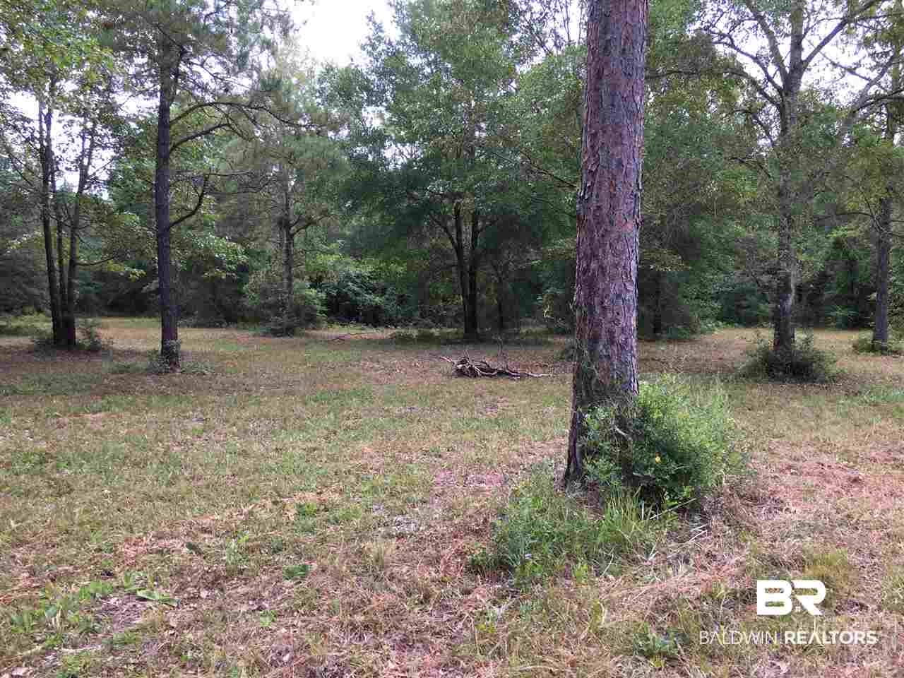 0 New Hope Church Road Robertsdale, AL 36567 - Photo 14 of 17
