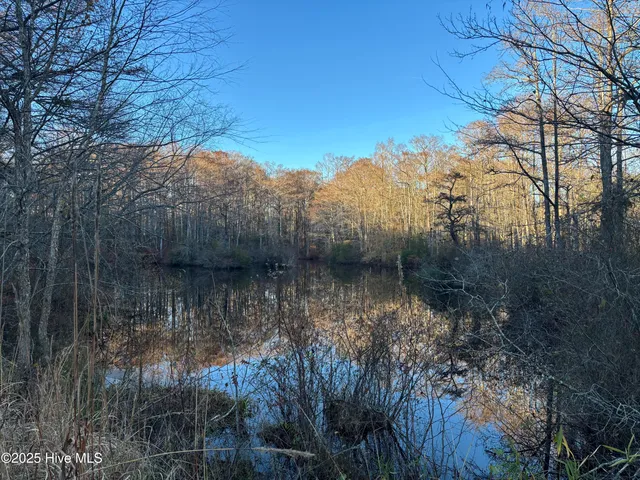 $295,000 | 150 Lewis Lane, Jackson, NC 27845