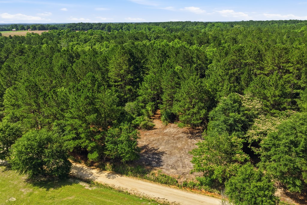 Lot #3 Crosby Clark Road Opp, AL 36467 - Photo 3 of 15